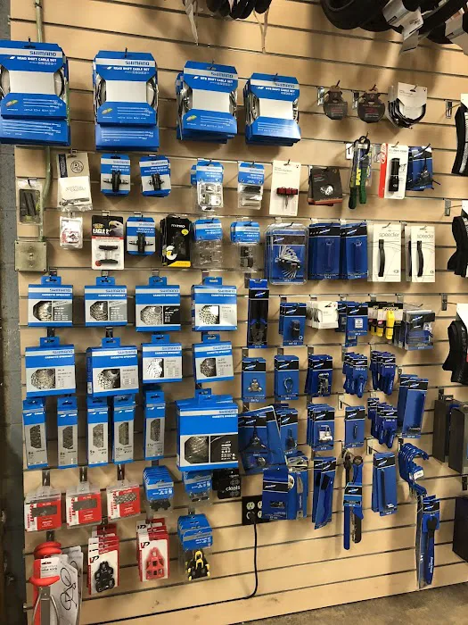 Jax Bicycle Center Picture 10