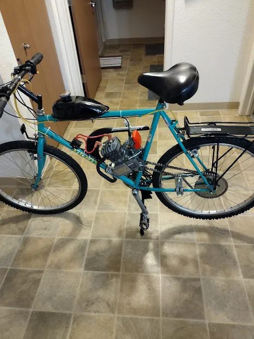 BikeBerry (Online Only) Picture 4