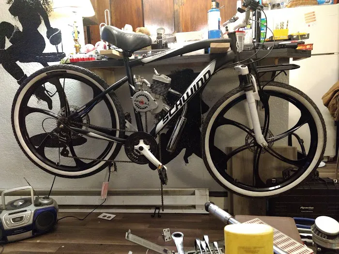 BikeBerry (Online Only) Picture 5