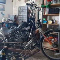 BikeBerry (Online Only) ico