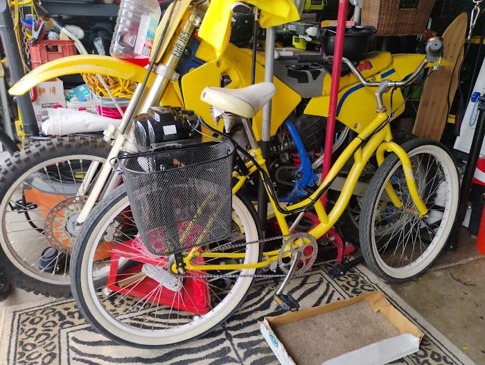 BikeBerry (Online Only) Picture 7