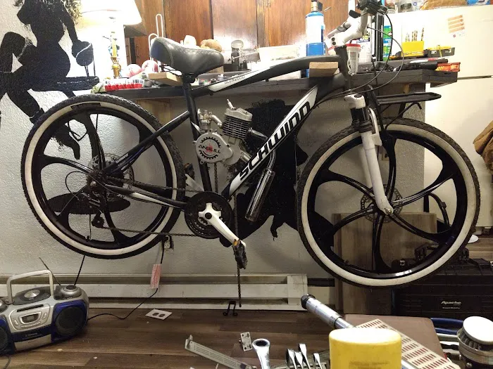 BikeBerry (Online Only) Picture 9