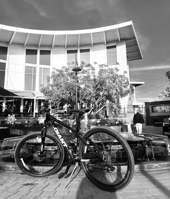 La Habra Cyclery Picture 5