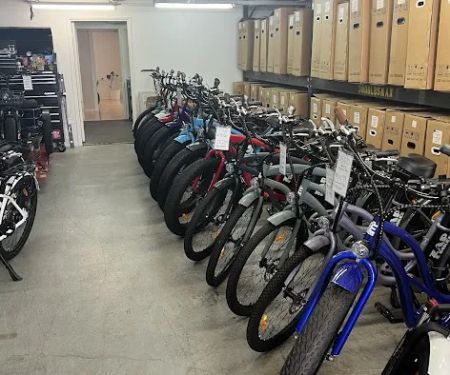 Zap E Bikes | Fat Tire Beach Cruisers | Electric Driven Bikes