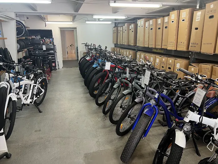 Zap E Bikes | Fat Tire Beach Cruisers | Electric Driven Bikes Picture 2