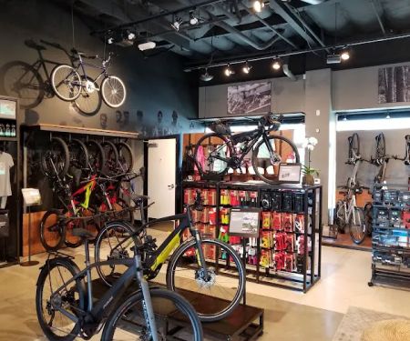 Specialized Costa Mesa