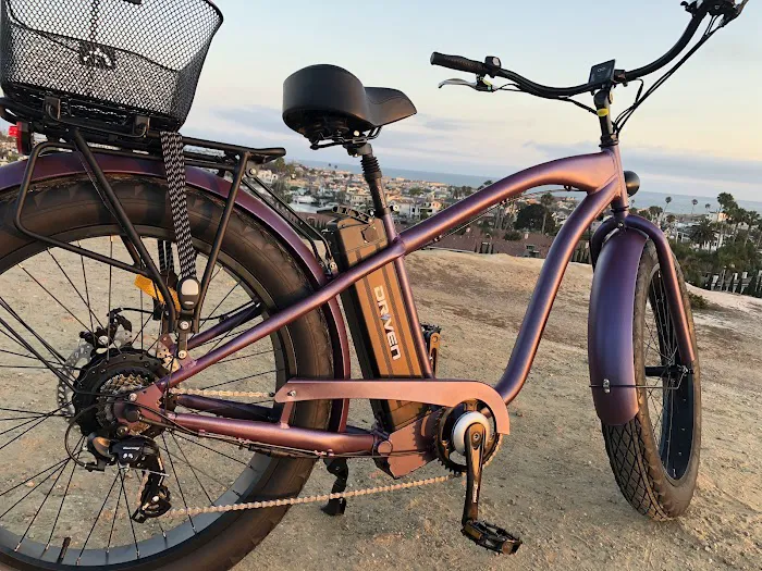 Driven Electric Bikes - Ebike Sales and Repair Picture 6