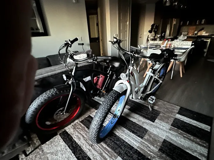 Driven Electric Bikes - Ebike Sales and Repair Picture 5