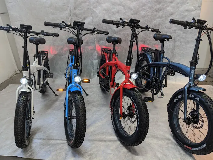 Driven Electric Bikes - Ebike Sales and Repair Picture 9