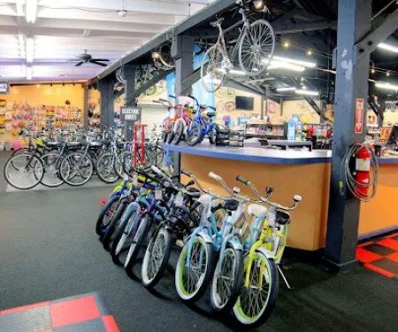 The Cyclist Bike Shop