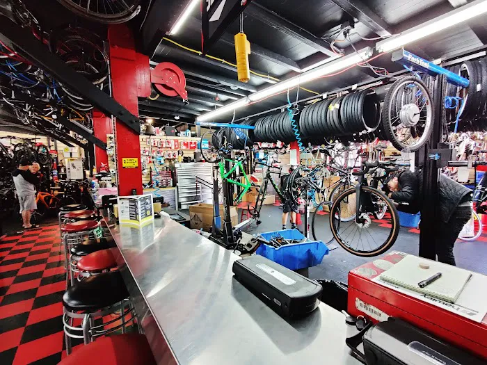 The Cyclist Bike Shop Picture 5