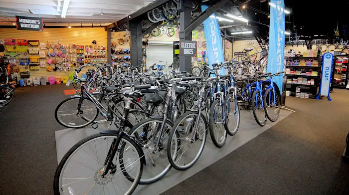The Cyclist Bike Shop Picture 8