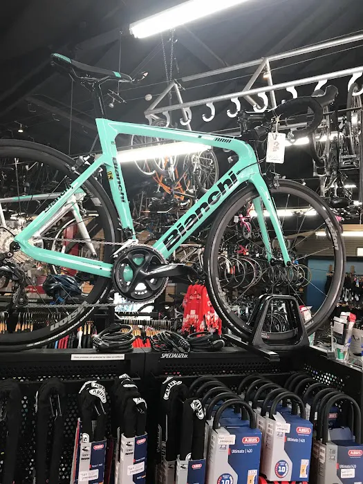 The Cyclist Bike Shop Picture 4