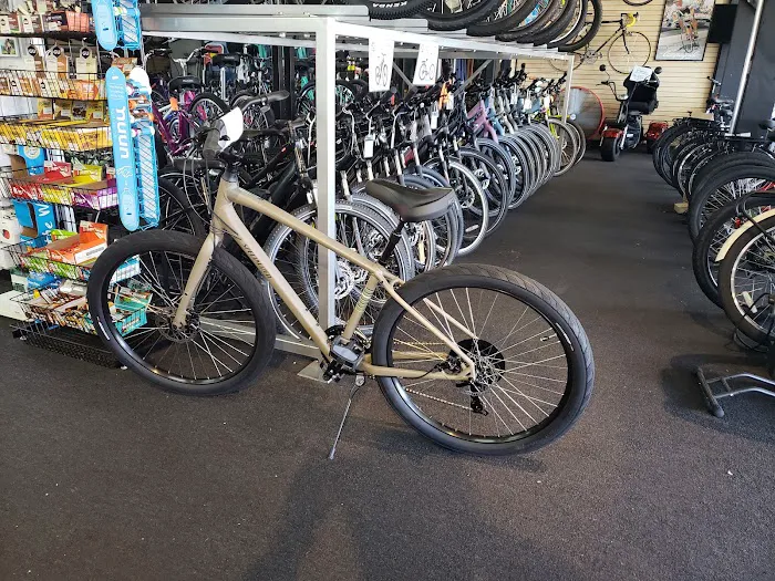 The Cyclist Bike Shop Picture 10