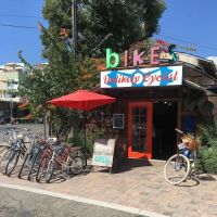 The Unlikely Cyclist ico
