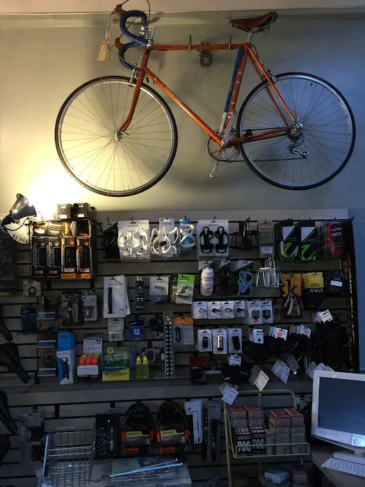 The Unlikely Cyclist Picture 8