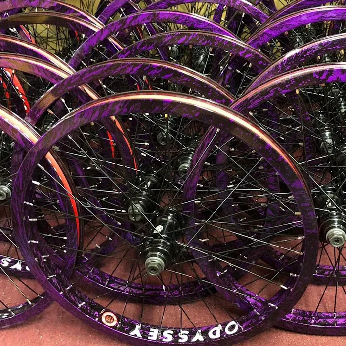Oriol Bike Shop Picture 3