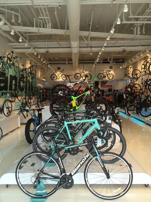 Bike Attack Picture 1