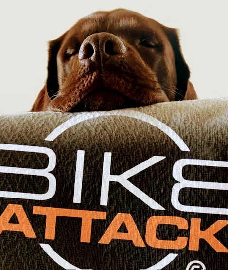 Bike Attack Picture 4