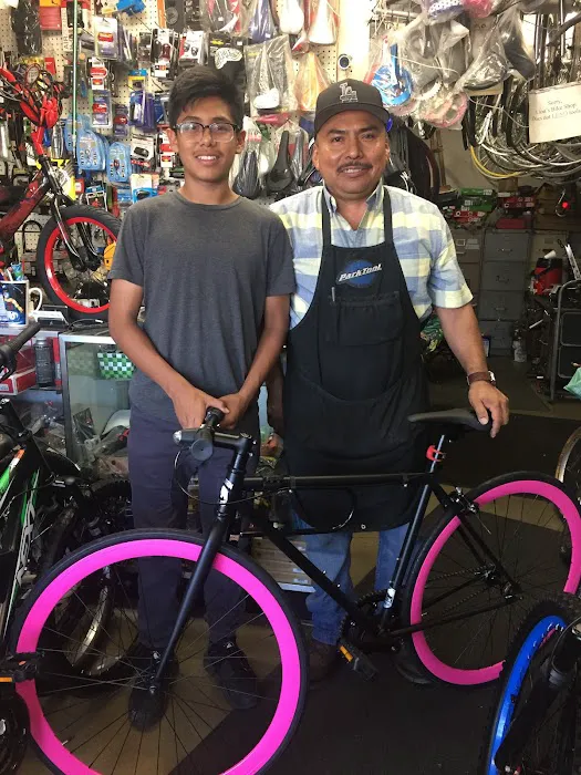Lion's Bike Shop Picture 3