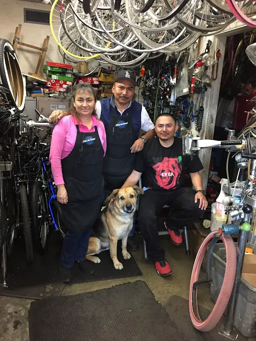 Lion's Bike Shop Picture 7