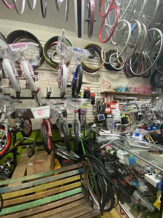 The Bike Shop Picture 6