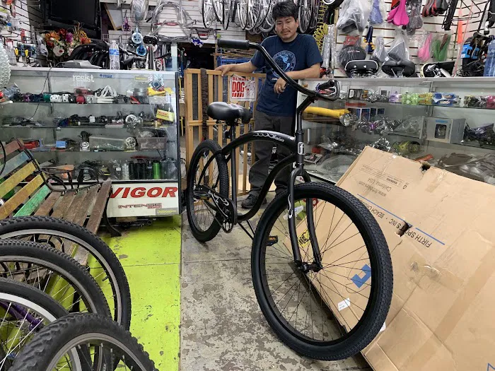 The Bike Shop Picture 9
