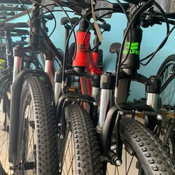 L.A. Golden Bicycle Shop Picture 2