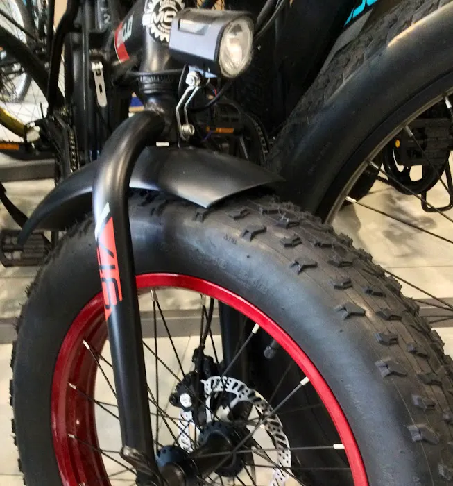 L.A. Golden Bicycle Shop Picture 3