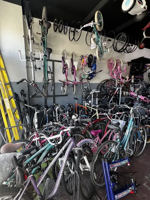 The Bike Shop Picture 6