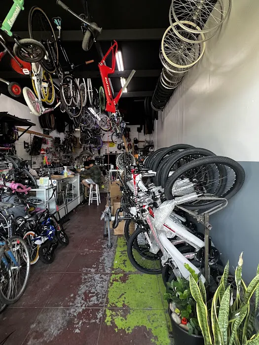 The Bike Shop Picture 5
