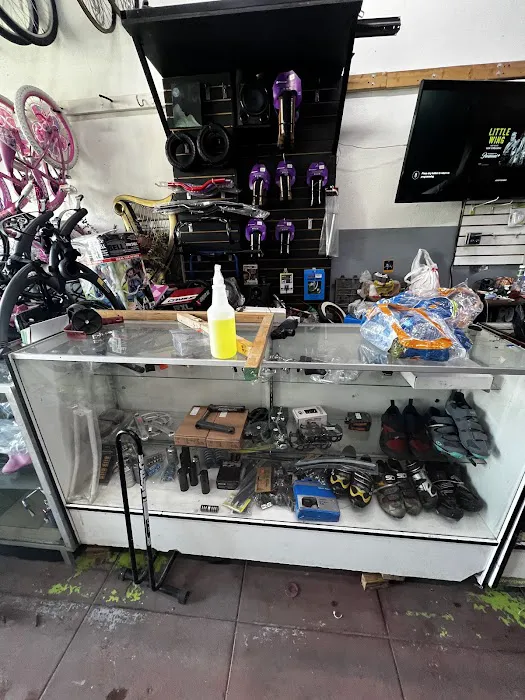 The Bike Shop Picture 8
