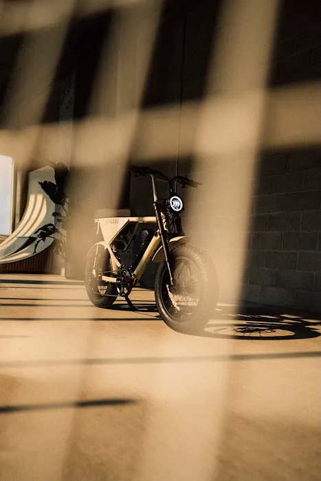 Pedal Electric Picture 3