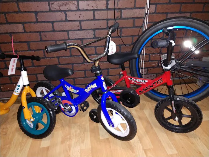 The Zoo Cycles Picture 10