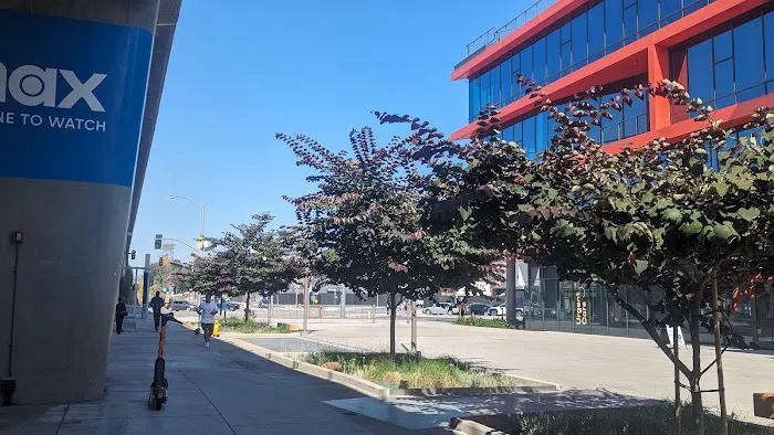 The Bike Center Culver City Picture 7