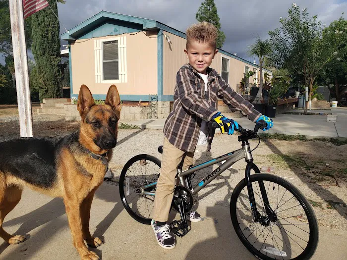 Bike Alley Picture 5