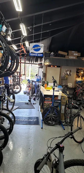 Pedal Barn Bike Shop Picture 2