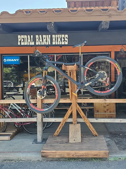 Pedal Barn Bike Shop Picture 5