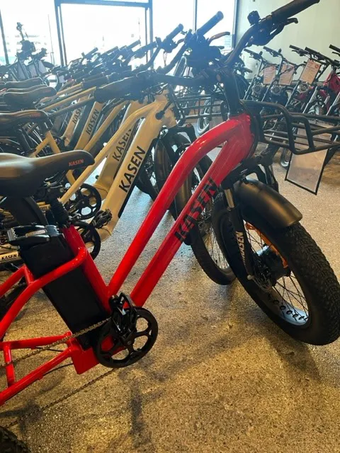 Rt.Lane Electric Bike Picture 4