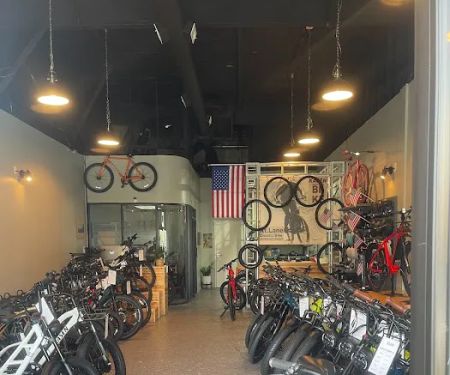 Rt.Lane Electric Bike