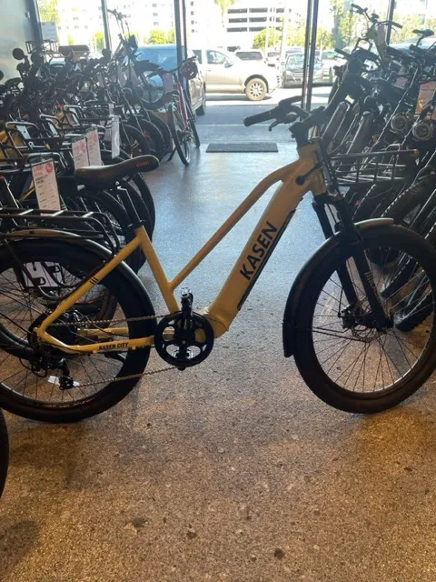 Rt.Lane Electric Bike Picture 3