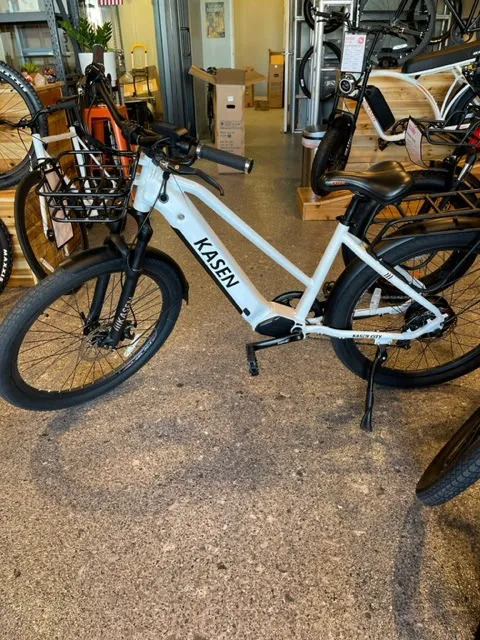 Rt.Lane Electric Bike Picture 10
