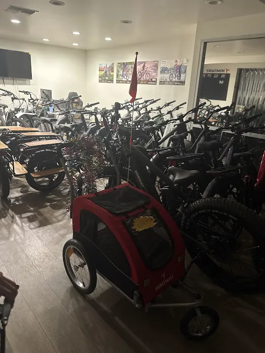 Himiway E-bike Picture 7
