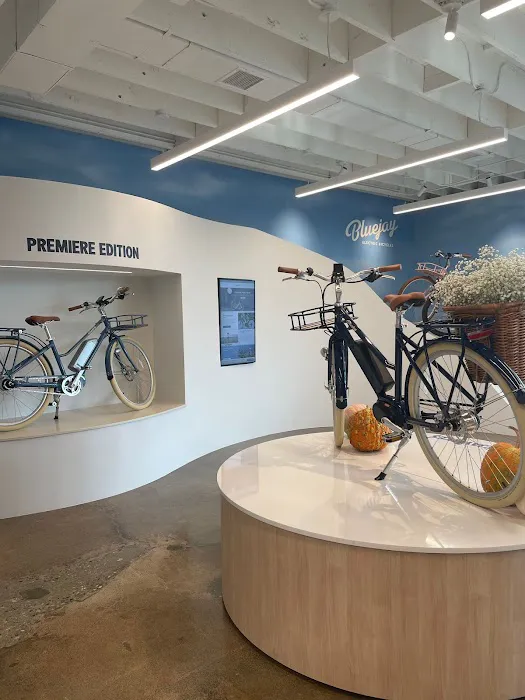 Bluejay Electric Bikes - Flagship Showroom Picture 4