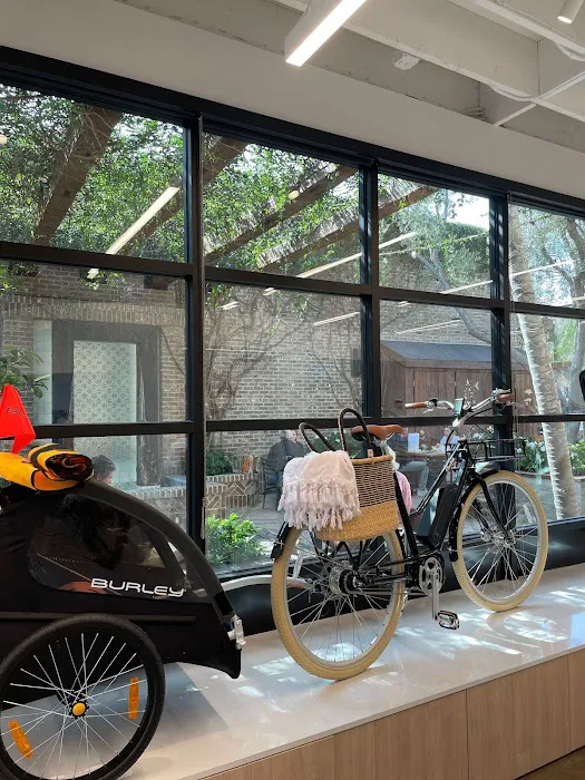 Bluejay Electric Bikes - Flagship Showroom Picture 5