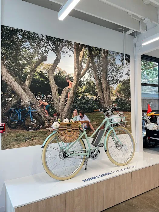 Bluejay Electric Bikes - Flagship Showroom Picture 10