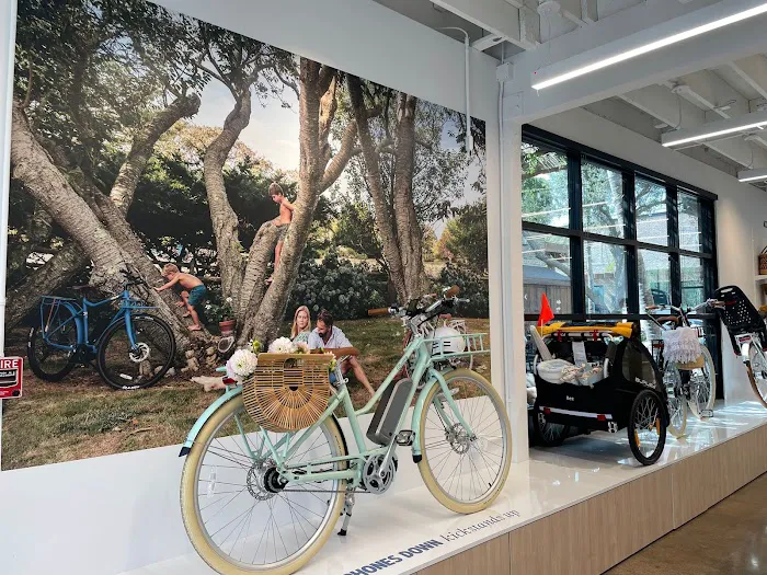 Bluejay Electric Bikes - Flagship Showroom Picture 7