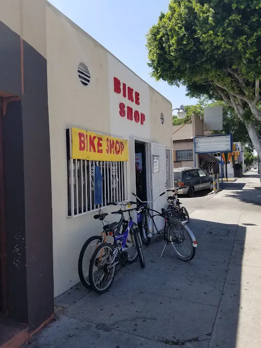 B1 Bicycle Shop Picture 1