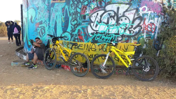 B1 Bicycle Shop Picture 5