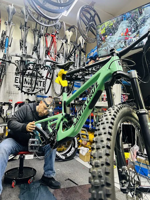 Bike Shop El Monte Picture 8